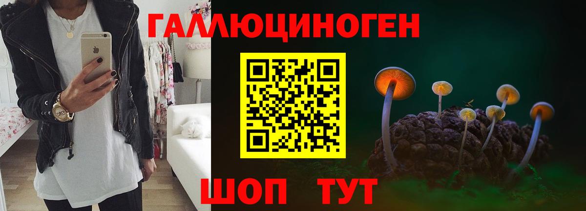 Бугуруслан  Галлюциногенные грибы Psilocybe  Вход с VPN 