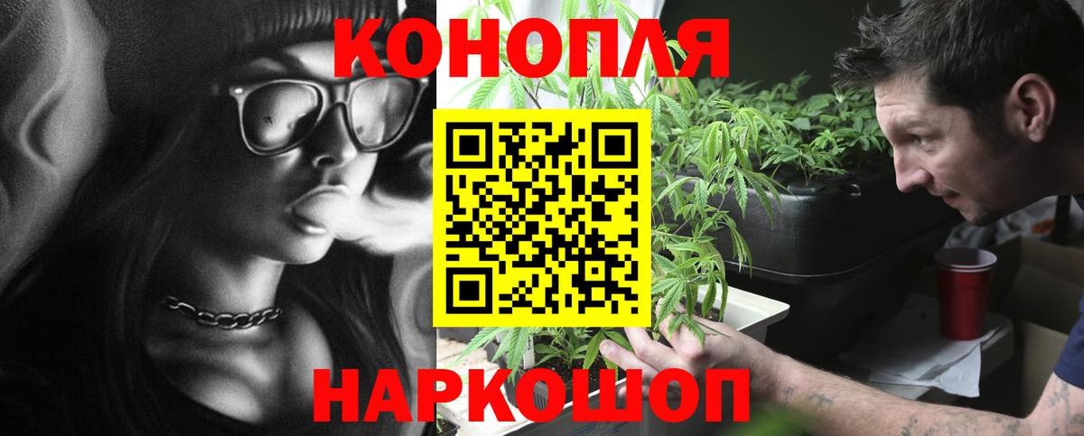 Каннабис OG Kush Бугуруслан